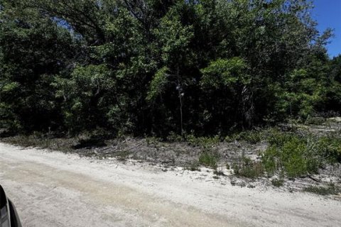 Land in Dunnellon, Florida № 2159809