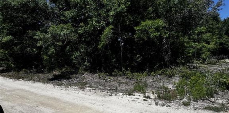 Land in Dunnellon, Florida № 2159809