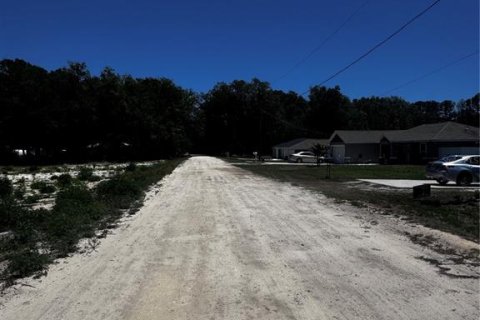 Land in Dunnellon, Florida № 2159809 - photo 3