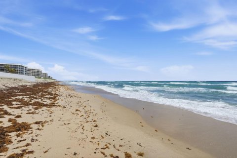Condominio en alquiler en South Palm Beach, Florida, 1 dormitorio, 72.93 m2 № 2077823 - foto 27