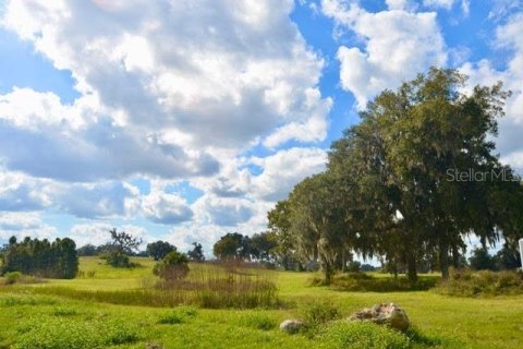 Terreno en Ocala, Florida № 2103197