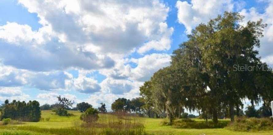 Terrain à Ocala, Floride № 2103197