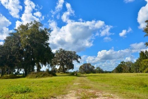 Terrain à vendre à Ocala, Floride № 2103197 - photo 3