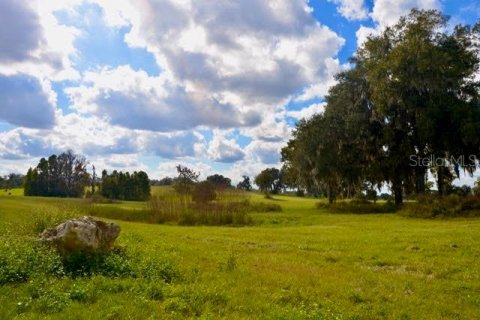 Terrain à vendre à Ocala, Floride № 2103197 - photo 2