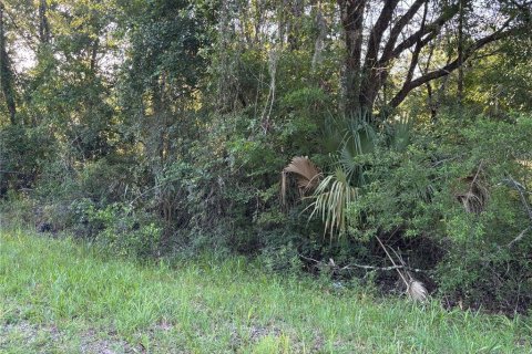 Terreno en venta en Cross City, Florida № 1873462 - foto 5