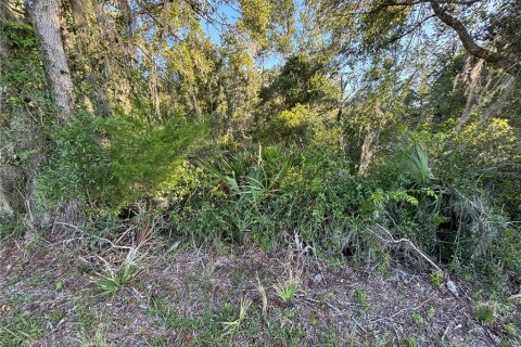 Terreno en venta en Cross City, Florida № 1873462 - foto 7