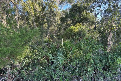 Terreno en venta en Cross City, Florida № 1873462 - foto 8