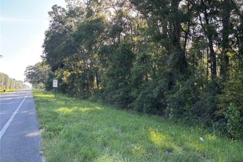 Terreno en venta en Cross City, Florida № 1873462 - foto 2