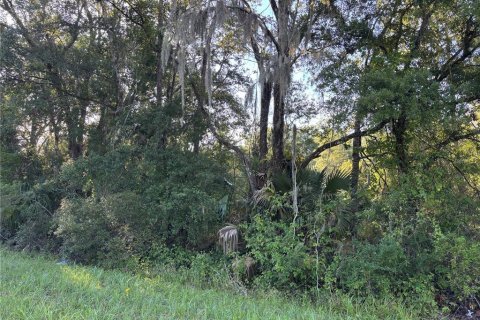 Terreno en venta en Cross City, Florida № 1873462 - foto 6