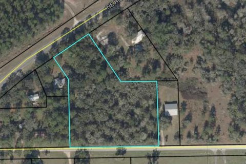 Terreno en venta en Cross City, Florida № 1873462 - foto 1