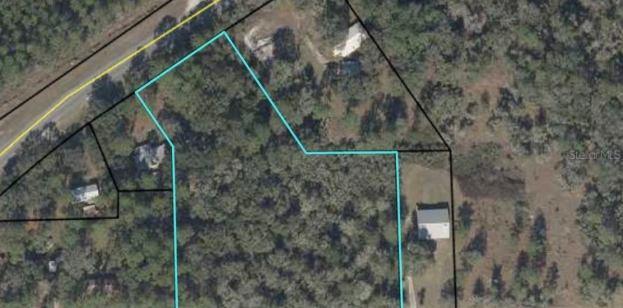 Terreno en Cross City, Florida № 1873462