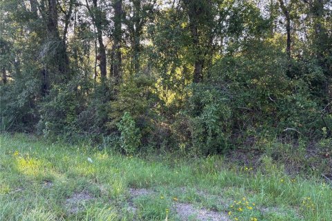Terreno en venta en Cross City, Florida № 1873462 - foto 4