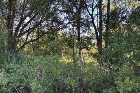 Terreno en venta en Cross City, Florida № 1873462 - foto 10
