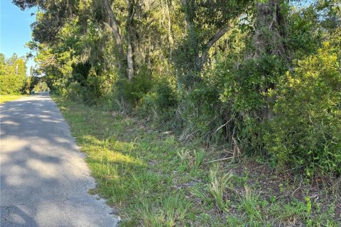 Terreno en venta en Cross City, Florida № 1873462 - foto 3