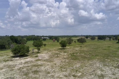 Terrain à vendre à Lake Wales, Floride № 2315042 - photo 3