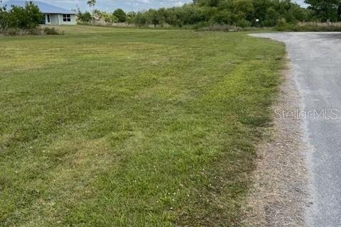 Land in Okeechobee, Florida № 1643088 - photo 3