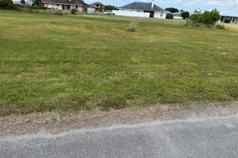 Land in Okeechobee, Florida № 1643088 - photo 6