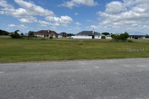 Land in Okeechobee, Florida № 1643088 - photo 2