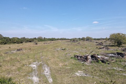 Commercial property in Okeechobee, Florida № 2251750 - photo 11