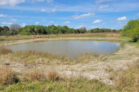 Commercial property in Okeechobee, Florida № 2251750 - photo 4