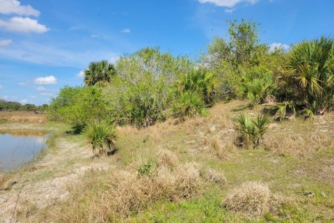 Commercial property in Okeechobee, Florida № 2251750 - photo 5