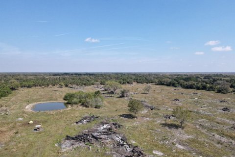 Commercial property in Okeechobee, Florida № 2251750 - photo 3