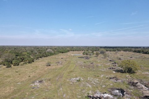 Commercial property in Okeechobee, Florida № 2251750 - photo 12