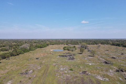 Commercial property in Okeechobee, Florida № 2251750 - photo 2
