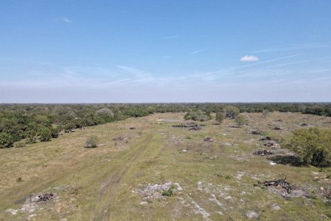 Commercial property in Okeechobee, Florida № 2251750 - photo 10