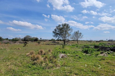 Commercial property in Okeechobee, Florida № 2251750 - photo 8