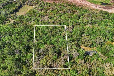 Villa ou maison à vendre à Micanopy, Floride: 2 chambres, 200.95 m2 № 2130061 - photo 29