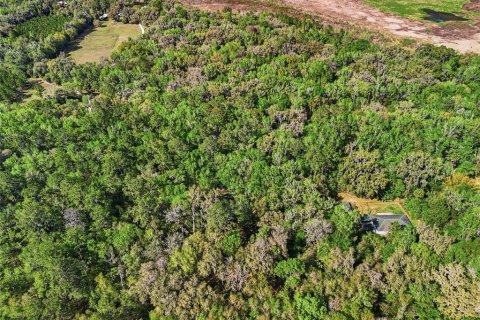 Villa ou maison à vendre à Micanopy, Floride: 2 chambres, 200.95 m2 № 2130061 - photo 30