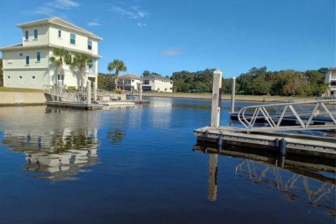 Land in Palm Coast, Florida № 879813 - photo 3