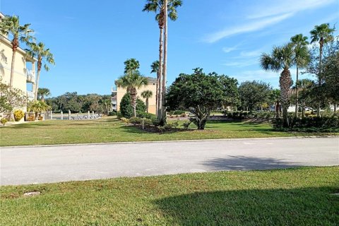 Land in Palm Coast, Florida № 879813 - photo 4