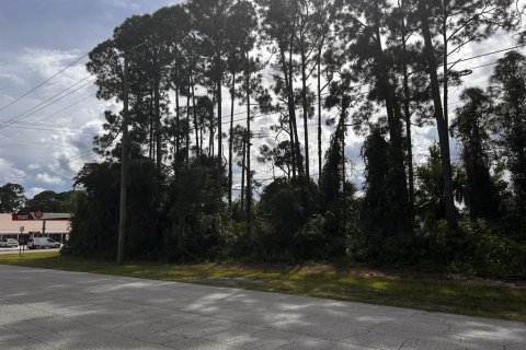 Land in Edgewater, Florida № 2393836 - photo 4
