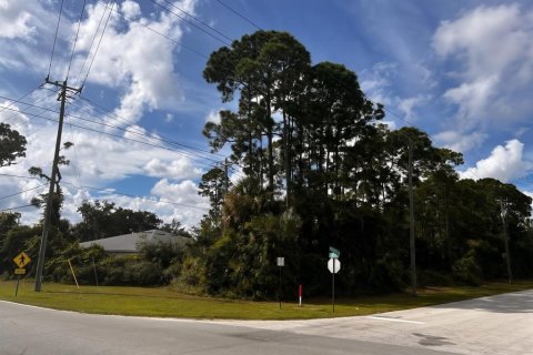 Land in Edgewater, Florida № 2393836 - photo 3