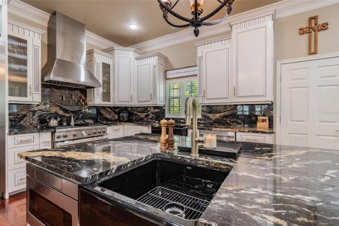 Villa ou maison à louer à Tampa, Floride: 6 chambres, 543.29 m2 № 2383930 - photo 8