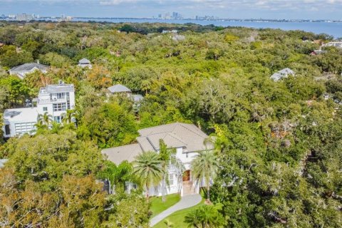 Villa ou maison à louer à Tampa, Floride: 6 chambres, 543.29 m2 № 2383930 - photo 3