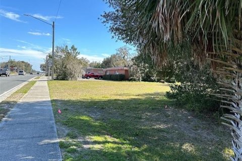 Propiedad comercial en venta en Bronson, Florida, 334.82 m2 № 1554302 - foto 13