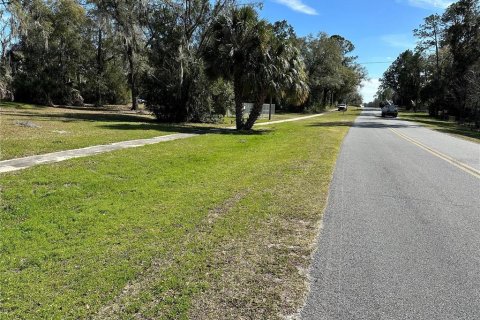Propiedad comercial en venta en Bronson, Florida, 334.82 m2 № 1554302 - foto 14