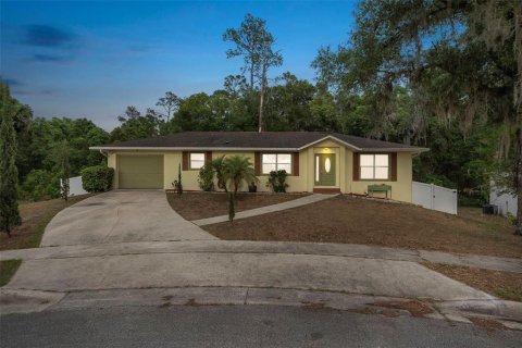 Villa ou maison à vendre à DeLand, Floride: 4 chambres, 232.26 m2 № 1751941 - photo 1