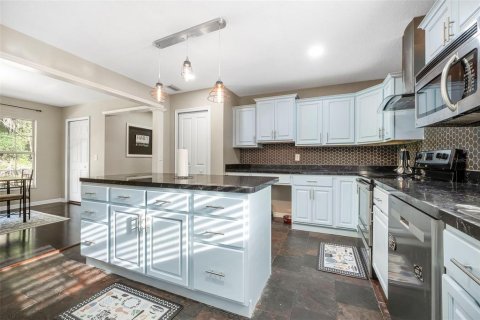 Villa ou maison à vendre à DeLand, Floride: 4 chambres, 232.26 m2 № 1751941 - photo 13