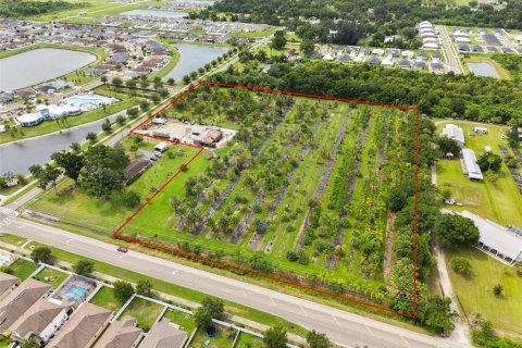 Commercial property in Ruskin, Florida 350.8 sq.m. № 2214002 - photo 4