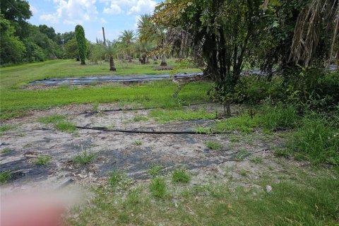 Commercial property in Ruskin, Florida 350.8 sq.m. № 2214002 - photo 16
