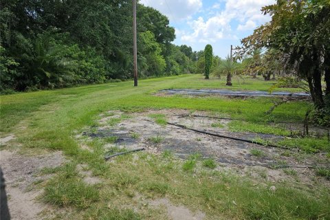 Commercial property in Ruskin, Florida 350.8 sq.m. № 2214002 - photo 14