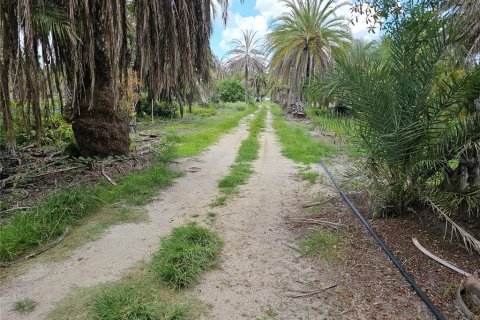 Commercial property in Ruskin, Florida 350.8 sq.m. № 2214002 - photo 12