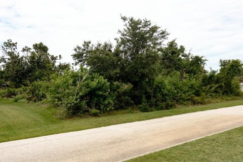 Terrain à vendre à Port Charlotte, Floride № 1816748 - photo 6