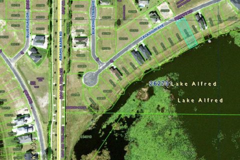 Terreno en venta en Lake Alfred, Florida № 1720602 - foto 2