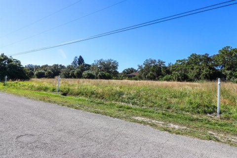 Land in North Port, Florida № 2162905 - photo 10