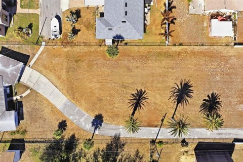Land in Port Orange, Florida № 2108496 - photo 12